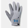 Under Armour STORM GLOVES