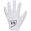 Under Armour Speith Tour Glove